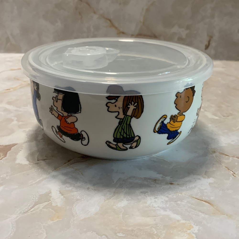 Peanuts: peanut gang covered bowl medium